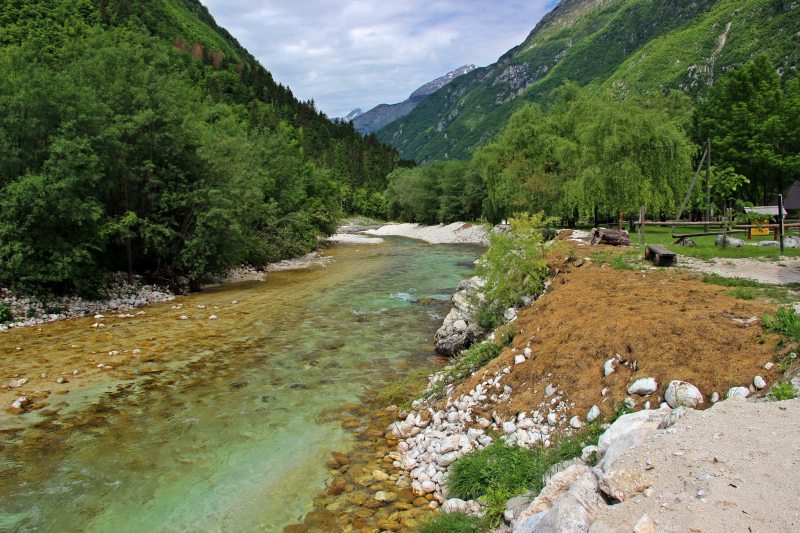 Slovenia Fly Fishing