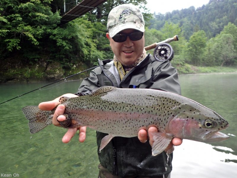 Slovenia Fly Fishing
