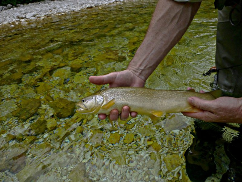 Slovenia Fly Fishing