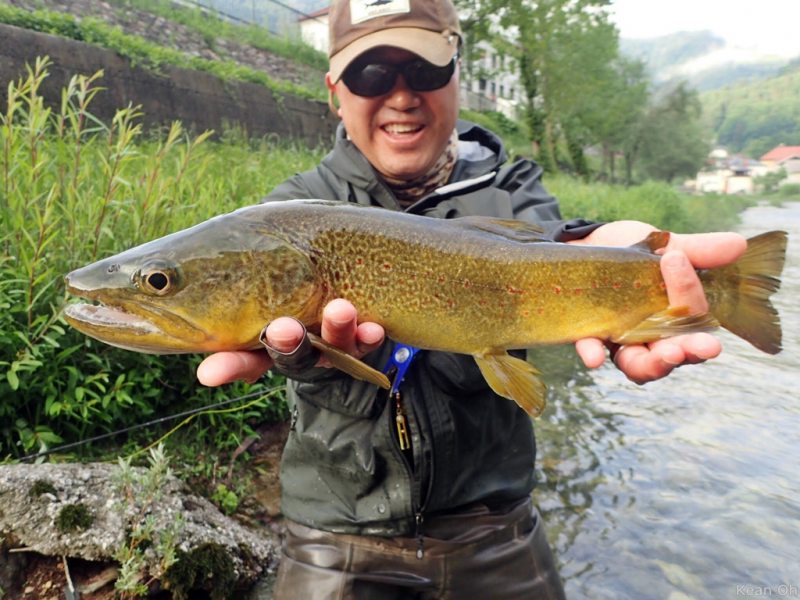 Slovenia Fly Fishing