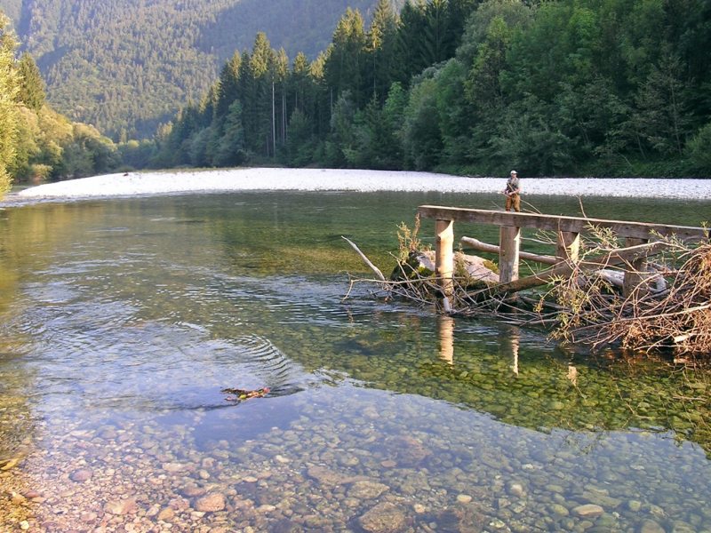 ???????????????????? ????????????????????