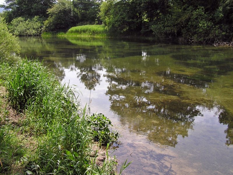 ???????????????????? ????????????????????