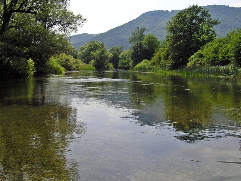 ???????????????????? ????????????????????