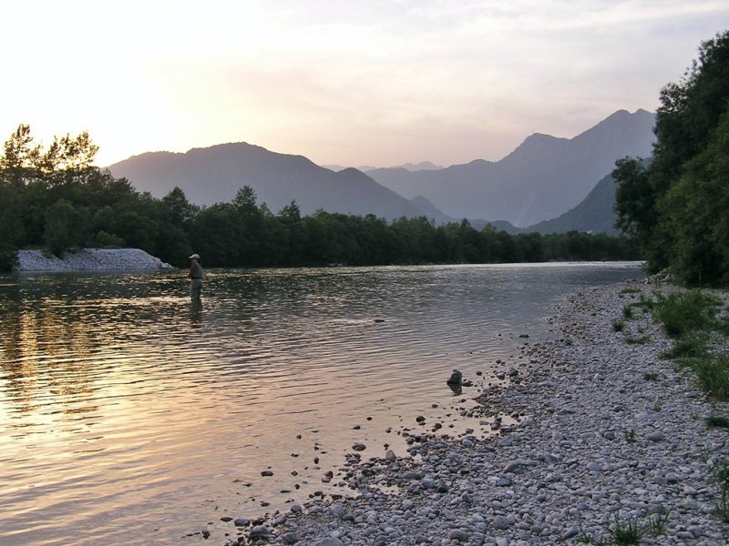 ???????????????????? ????????????????????