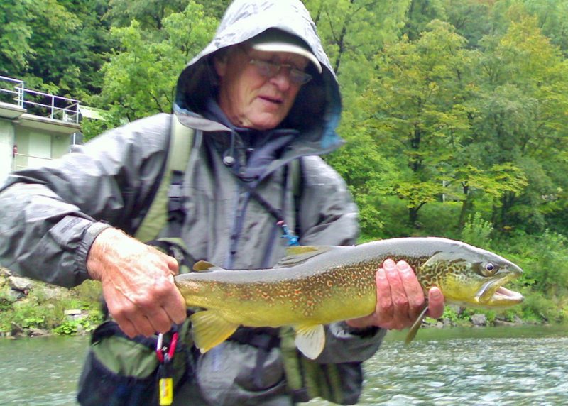 ????????????????????