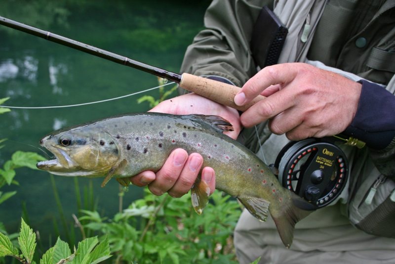 Slovenia Fly Fishing Slovenia Fly Fishing