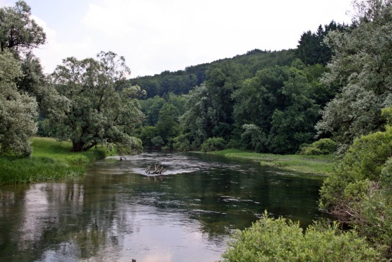 Slovenia Fly Fishing Slovenia Fly Fishing