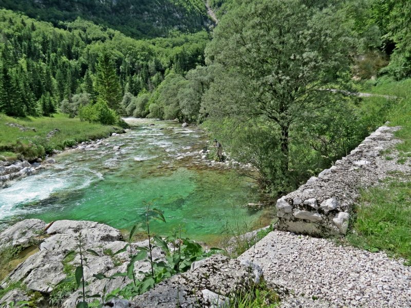 Slovenia Fly Fishing