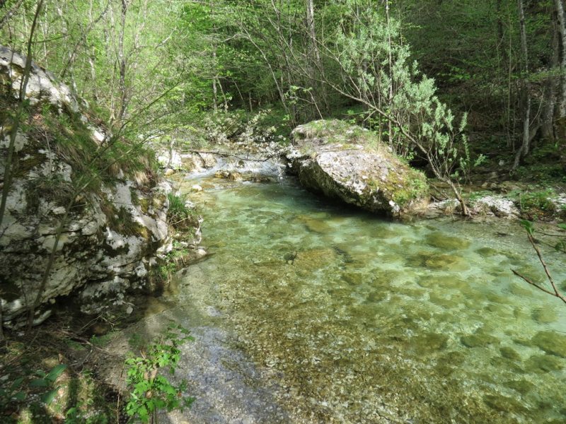 Slovenia Fly Fishing Slovenia Fly Fishing