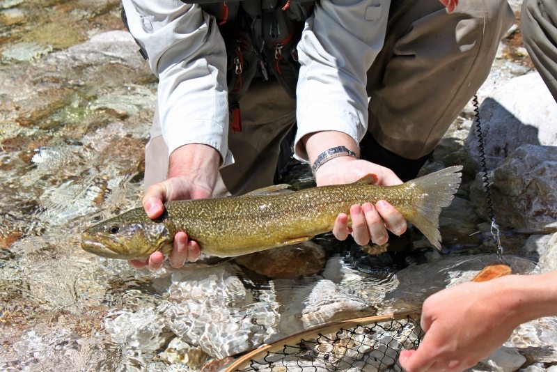 Slovenia Fly Fishing