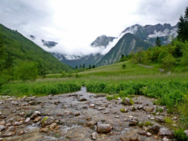 ????????????????????