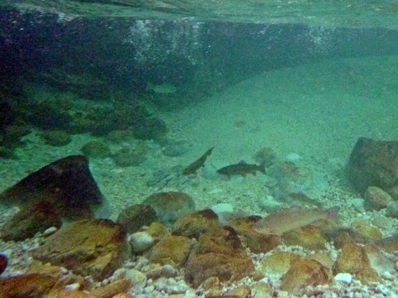 ????????????????????