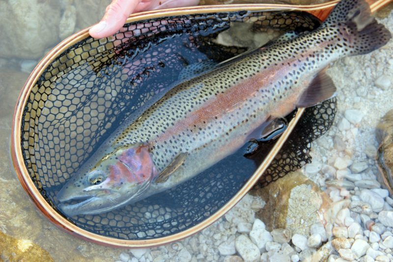 Slovenia Fly Fishing