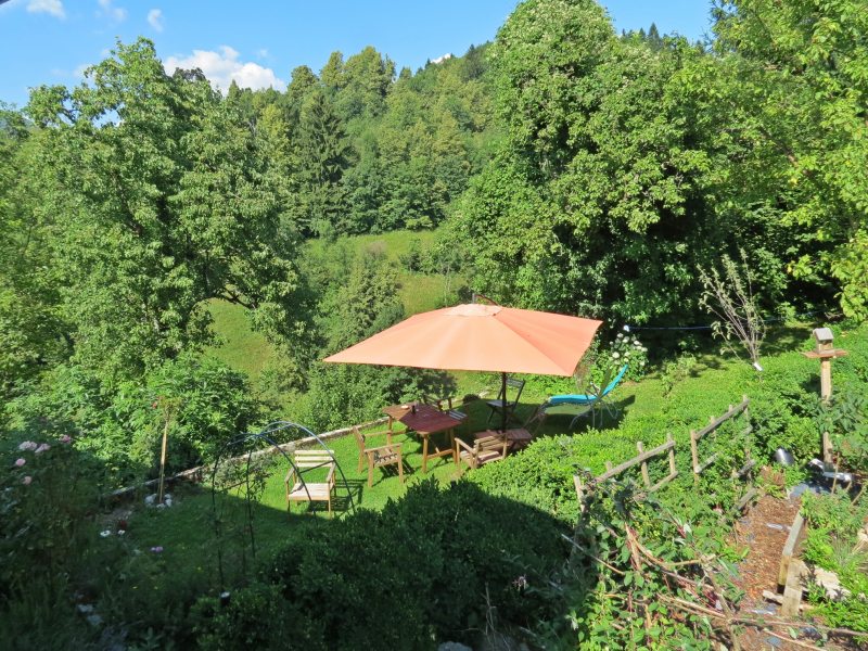 Top view back garden