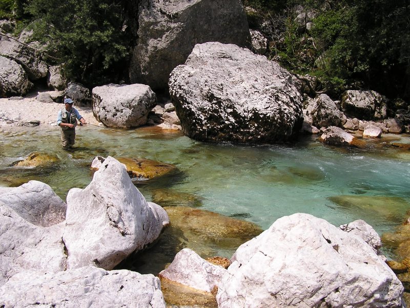 OLYMPUS DIGITAL CAMERA OLYMPUS DIGITAL CAMERA