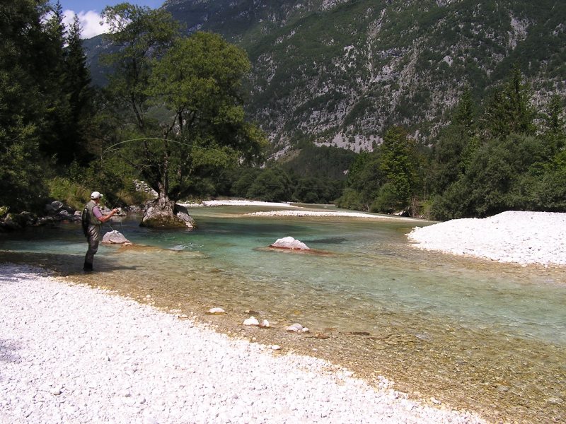 OLYMPUS DIGITAL CAMERA OLYMPUS DIGITAL CAMERA