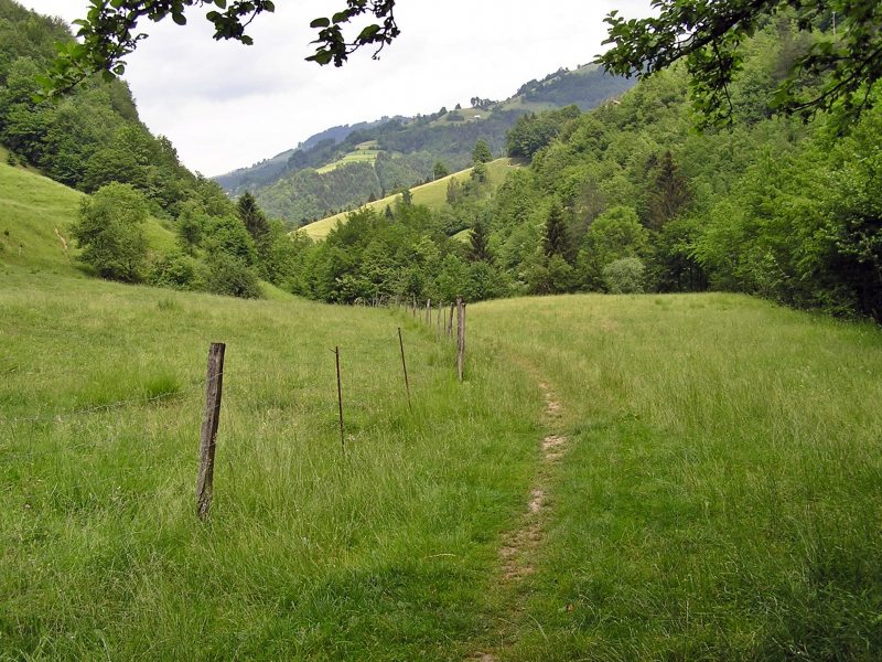 Local Walks from Lodge