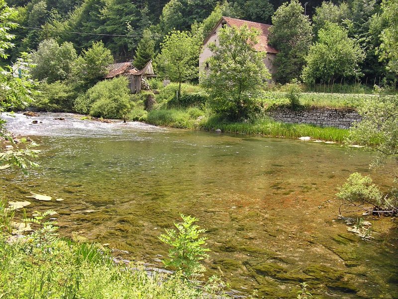 OLYMPUS DIGITAL CAMERA OLYMPUS DIGITAL CAMERA