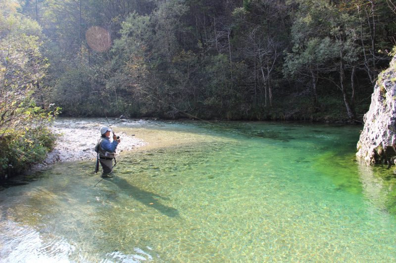 Trebusica-Francis-King-Smith-1