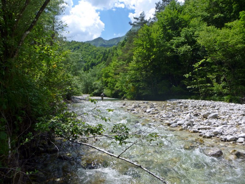 Marble Trout Slovenia Idrijca Fly Fishing Soca Soča Brown Trout