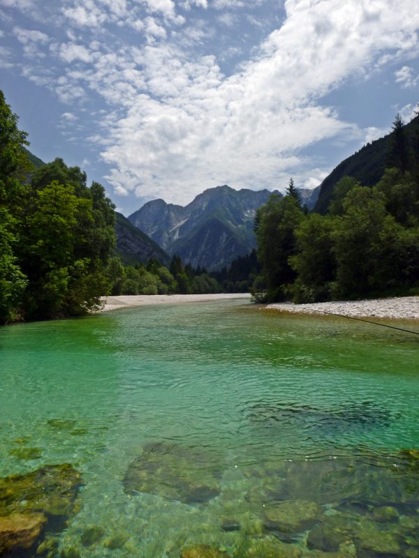 Marble Trout Slovenia Idrijca Fly Fishing Soca Soča Guiding