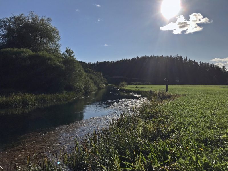 Marble Trout Slovenia Idrijca Fly Fishing Soca Soča Guiding Unec