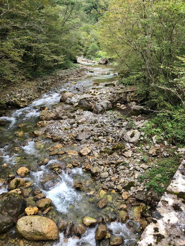 Marble Trout Slovenia Idrijca Fly Fishing Soca Soča Guiding