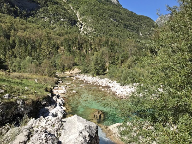 Marble Trout Slovenia Idrijca Fly Fishing Soca Soča Guiding