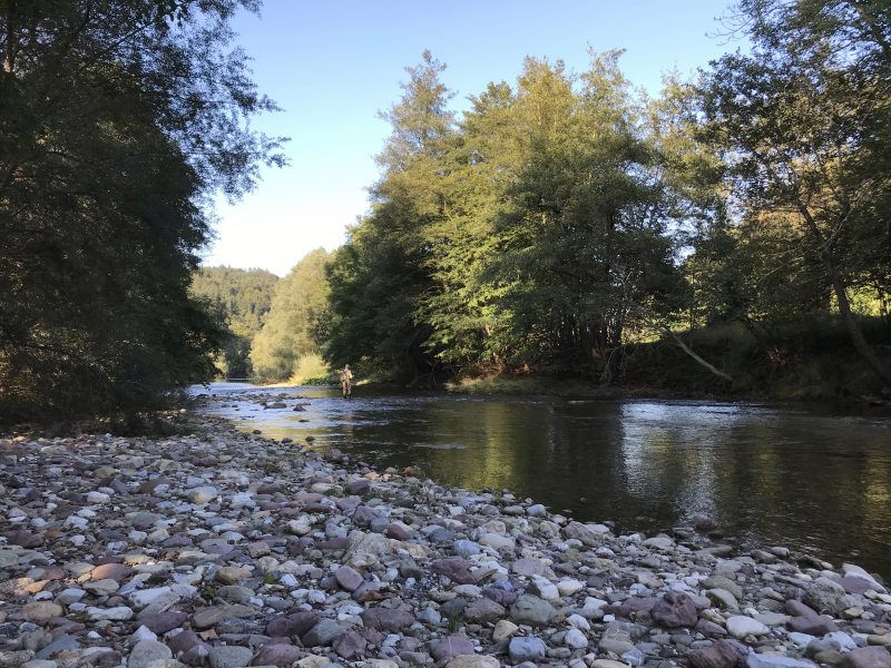 Marble Trout Slovenia Idrijca Fly Fishing Soca Soča Hybrid