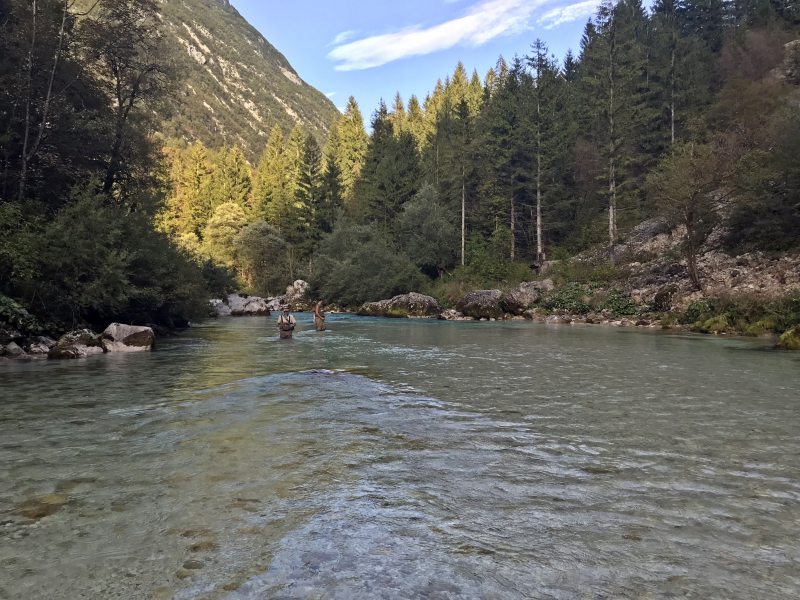 Marble Trout Slovenia Idrijca Fly Fishing Soca Soča Brown Trout