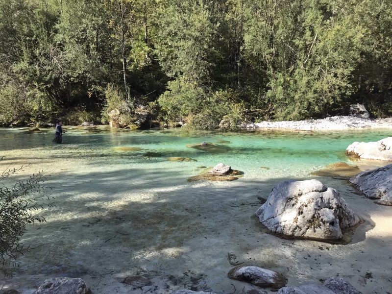 Marble Trout Slovenia Idrijca Fly Fishing Soca Soča Brown Trout pêche à la mouche