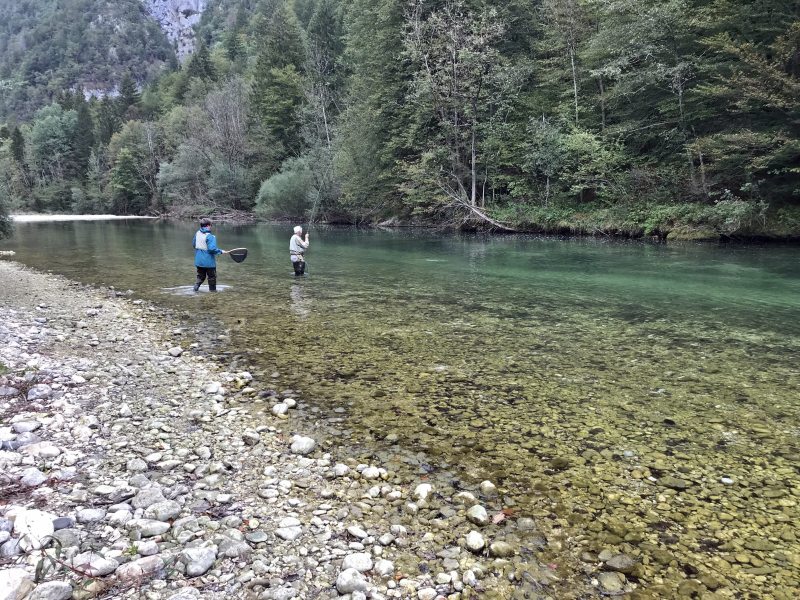 Marble Trout Slovenia Idrijca Fly Fishing Soca Soča pêche à la mouche la slovénie Fliegenfischen Slowenien