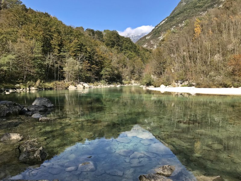 Marble Trout Slovenia Idrijca Fly Fishing Soca Soča Hybrid