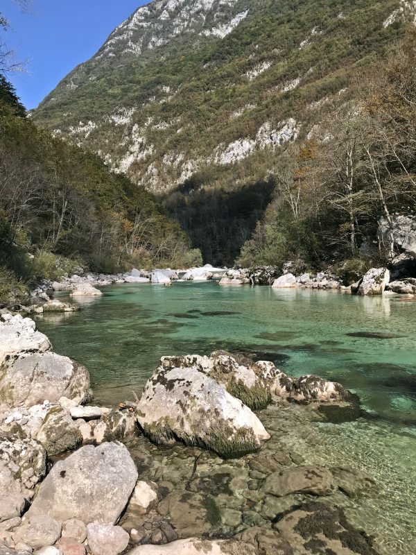 Marble Trout Slovenia Idrijca Fly Fishing Soca Soča pêche à la mouche la slovénie Fliegenfischen Slowenien