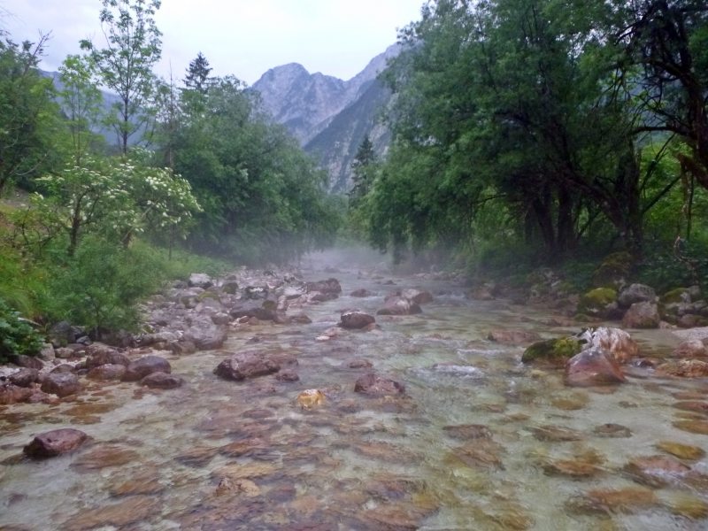 Marble Trout Slovenia Idrijca Fly Fishing Soca Soča
