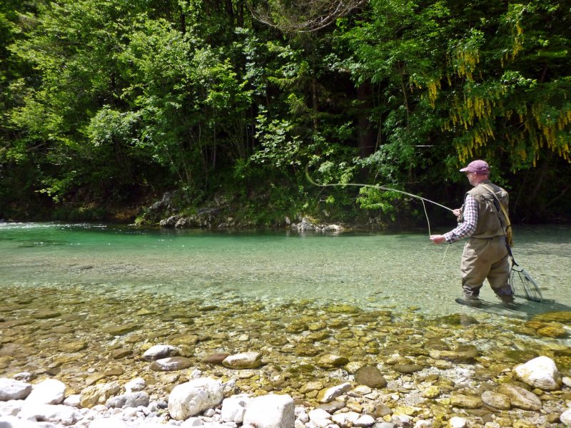 Marble Trout Slovenia Idrijca Fly Fishing Soca Soča