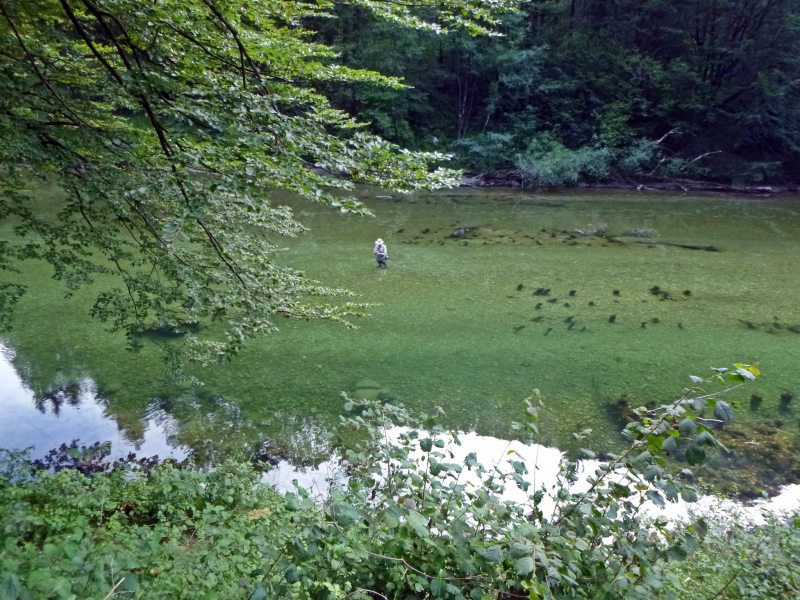 Marble Trout Slovenia Idrijca Fly Fishing Grayling Rainbow Gin Clear
