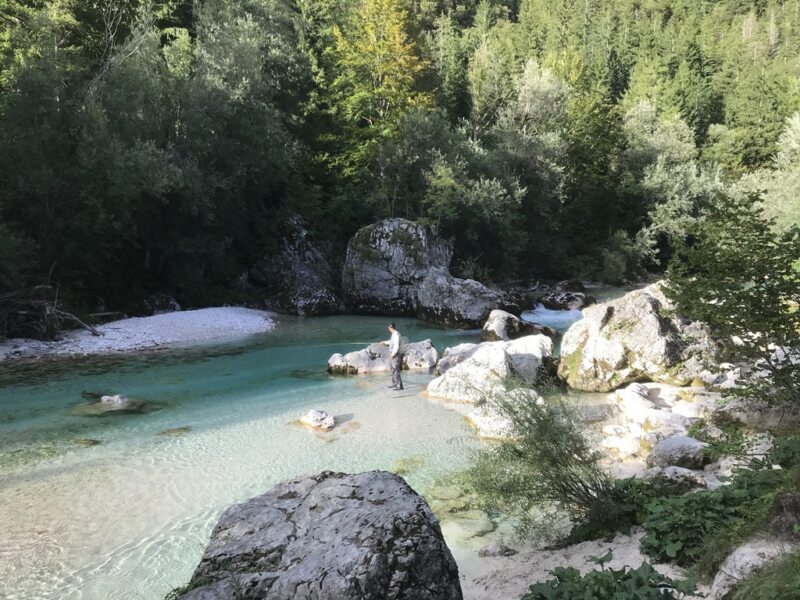 Marble Trout Slovenia Idrijca Fly Fishing Soca Soča
