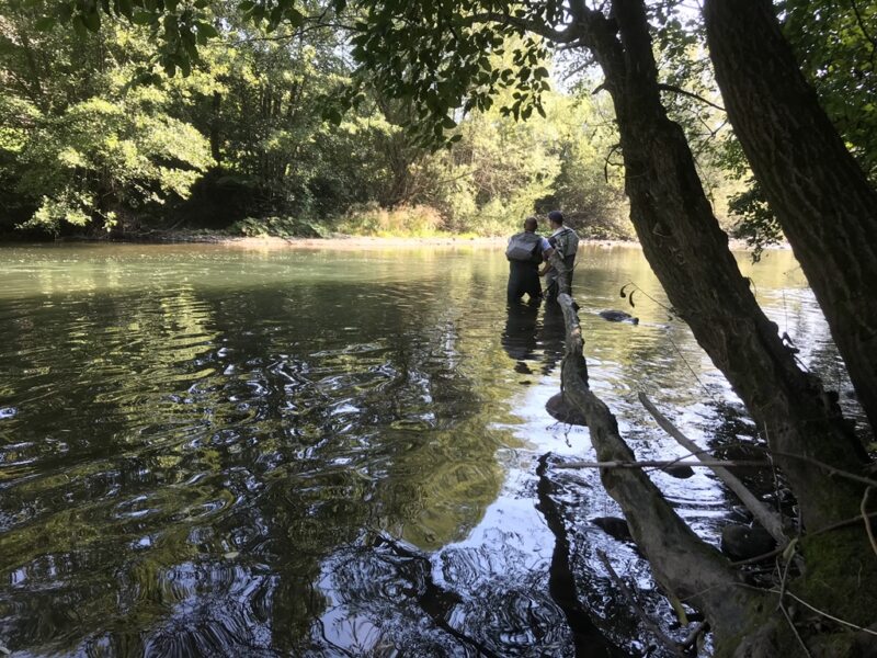 Marble Trout Slovenia Idrijca Fly Fishing Soca Soča Guiding