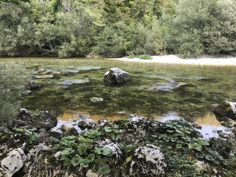 Marble Trout Slovenia Idrijca Fly Fishing Soca Soča