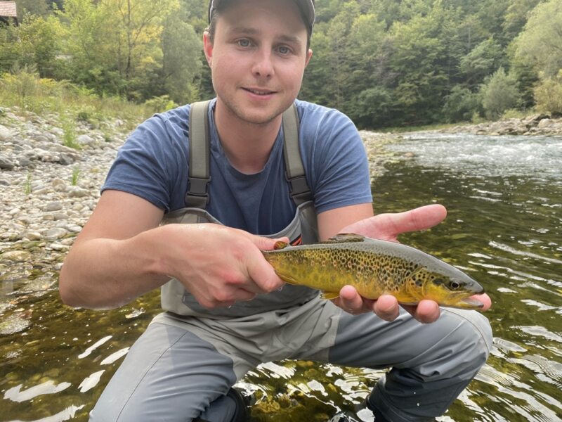 Marble Trout Slovenia Idrijca Fly Fishing Soca Soča Brown Trout