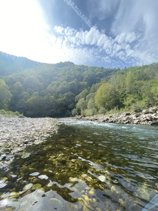 Marble Trout Slovenia Idrijca 2021