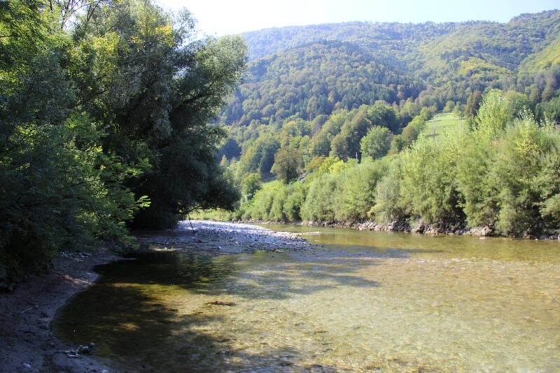 Marble Trout Slovenia Fly Fishing Soca Soča Guiding Idrijca