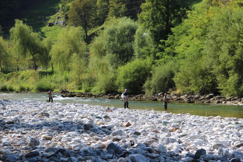 Marble Trout Slovenia Idrijca Fly Fishing Soca Soča Guiding