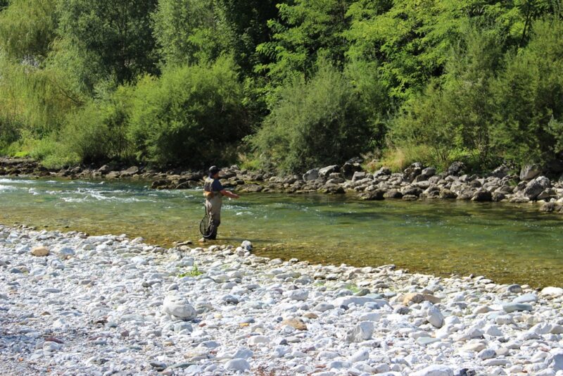 Marble Trout Slovenia Idrijca Fly Fishing Soca Soča Guiding
