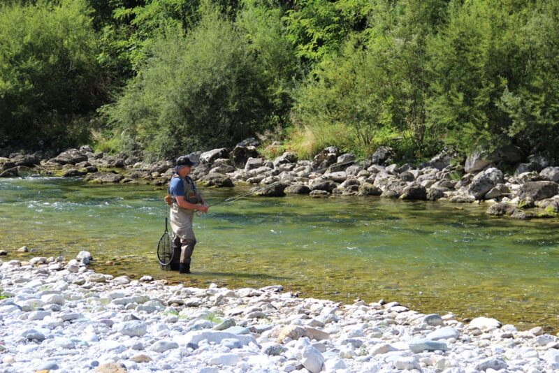 Marble Trout Slovenia Fly Fishing Grayling Rainbow Idrijca
