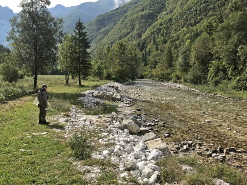 Marble Trout Slovenia Idrijca Fly Fishing Soca Soča