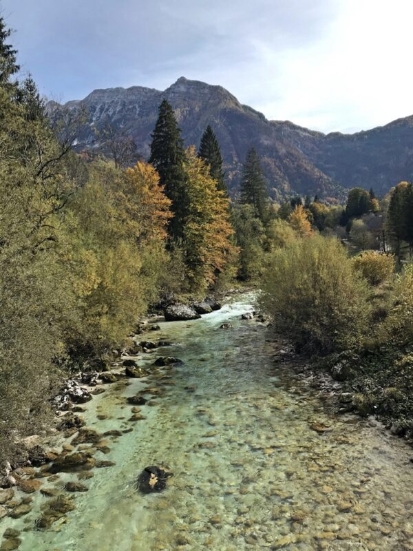 Marble Trout Slovenia Idrijca Fly Fishing Soca Soča