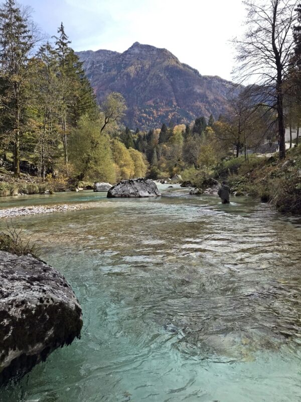 Marble Trout Slovenia Idrijca Fly Fishing Soca Soča pêche à la mouche la slovénie Fliegenfischen Slowenien