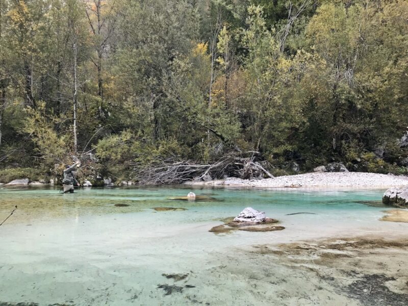 Marble Trout Slovenia Idrijca Fly Fishing Soca Soča Hybrid